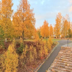 vanha kaivos syksy 2025. Kuvaaja Vlada Danko