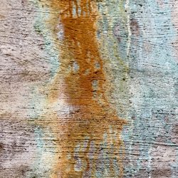 suodinosaston seinä