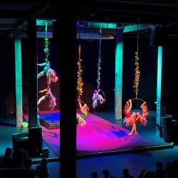 Oudon Kummun sirkus 2024